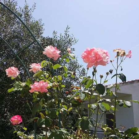 Villa Helena 카보스 외부 사진