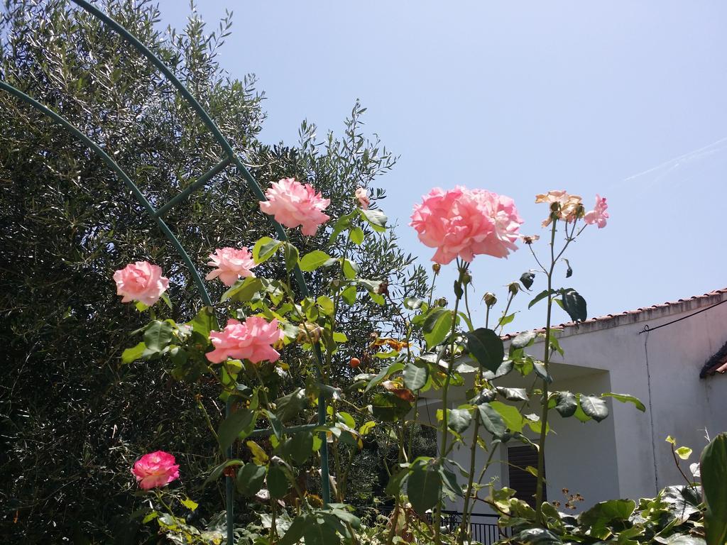 Villa Helena 카보스 외부 사진